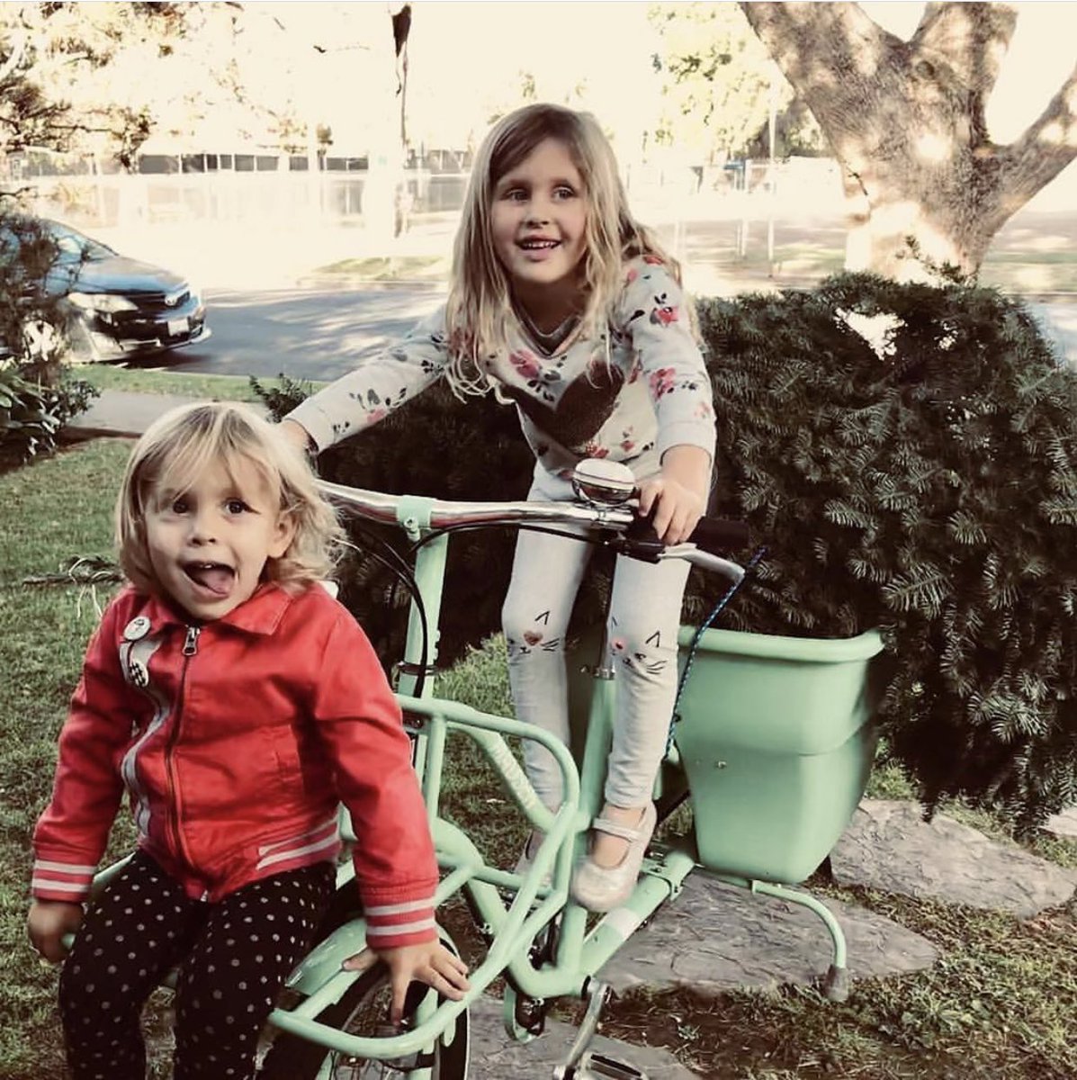 madsencycles's tweet image. Just a few suggestions on how to transport your Christmas tree this year! 🚲🎄🚲🎄🚲🎄🚲🎄
#treebybike #christmastreebybike  #madsencycles #cargobike 
madsencycles.com