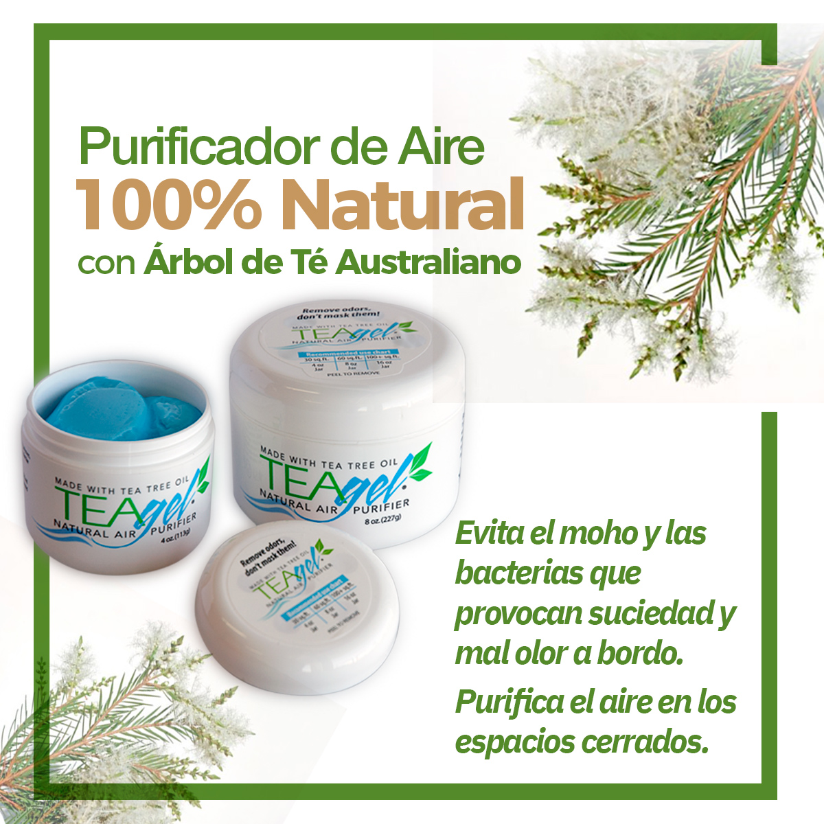 Clean_Sailing's tweet image. ¿Problemas de moho o mal olor en tu embarcación?
👉Tenemos la solución:
mtr.cool/hapltwfbaq👌