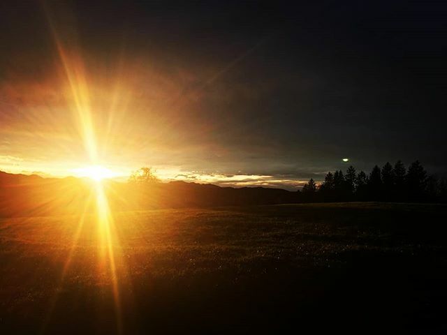 ufemWildberg's tweet photo. Tag und Nacht auf einem Bild🙂
#ufemwildberg #restaurantwildberg #wildbergjonschwil #lofi #daynight #sunset #toomuchfilter #sonnenuntergang #landschaft #landscape https://t.co/v16MPu0m3v https://t.co/Jh7vIZ5n9P