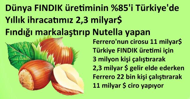 Bir İtalyan firması küstahça Türkiye'yi ve fındık üreticisini tehtid ediyor 'artık fındığı senden değil Şili'den alacağım' diye aba altından sopa gösteriyor, tarımda net ithalatçı olmuşuz, köyler bitmiş mahalle olmuş, bu gündem değil de ana muhalefetin saçmalıkları gündem. Pes!