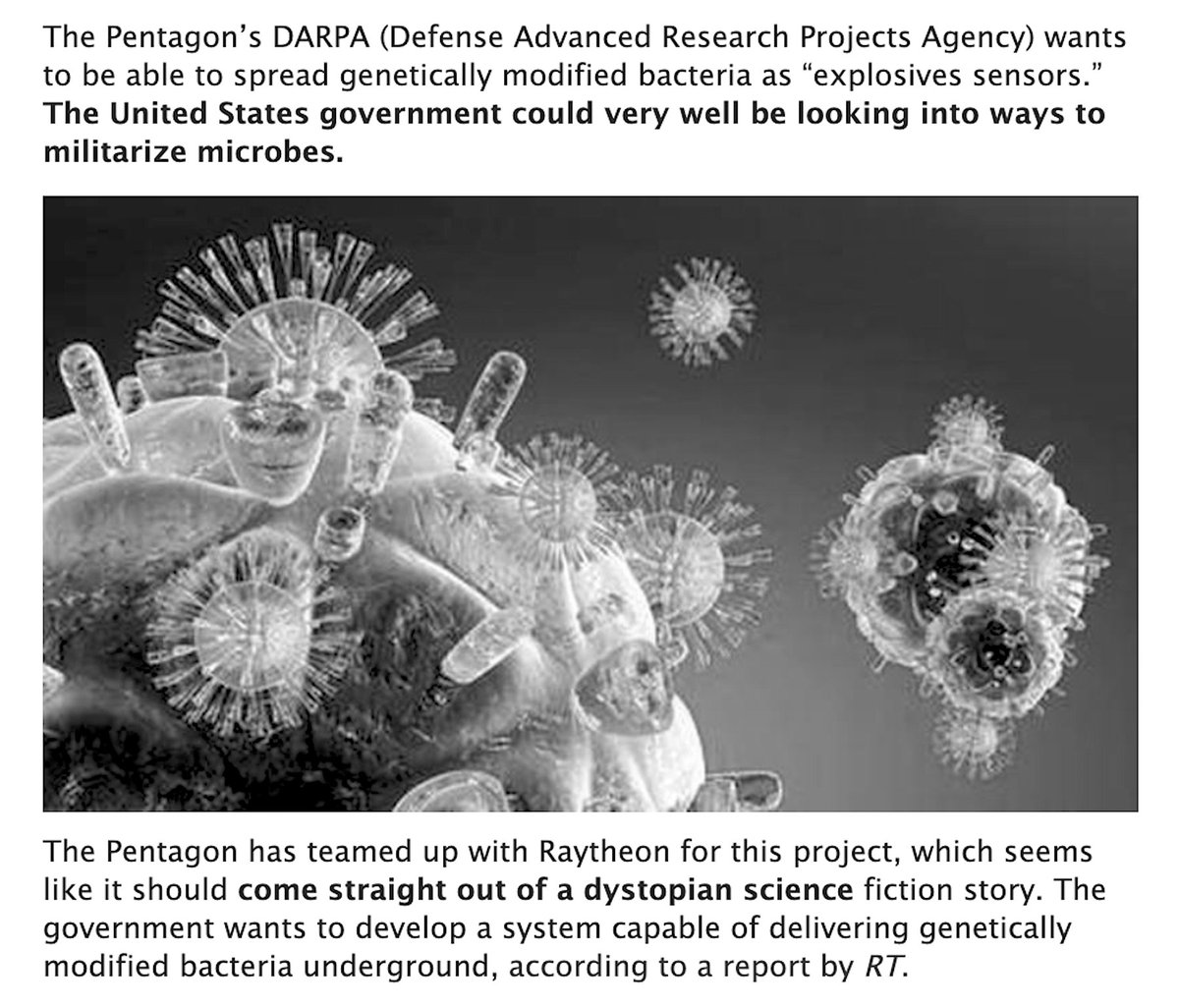 DARPA Seeks 'Militarized Microbes' To Spread Genetically-Modified Bacteria. The Pentagon Teams Up With Raytheon.The Future Of Warfare. @zerohedge, November 15th, 2019 https://www.zerohedge.com/technology/darpa-seeks-militarized-microbes-so-they-can-spread-genetically-modified-bacteria