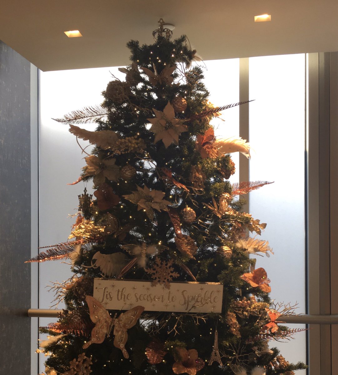 Richard Contreras tweet media