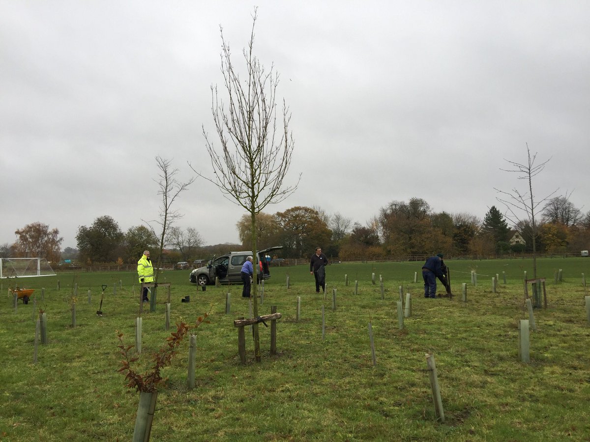 Bardwell Village tweet media