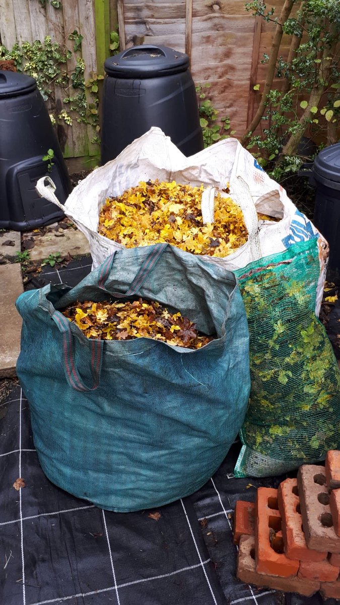 ScotCancerFnd's tweet image. Getting #active in these dreary #novemberdays and getting some steps in too @PathsforAll @step_count