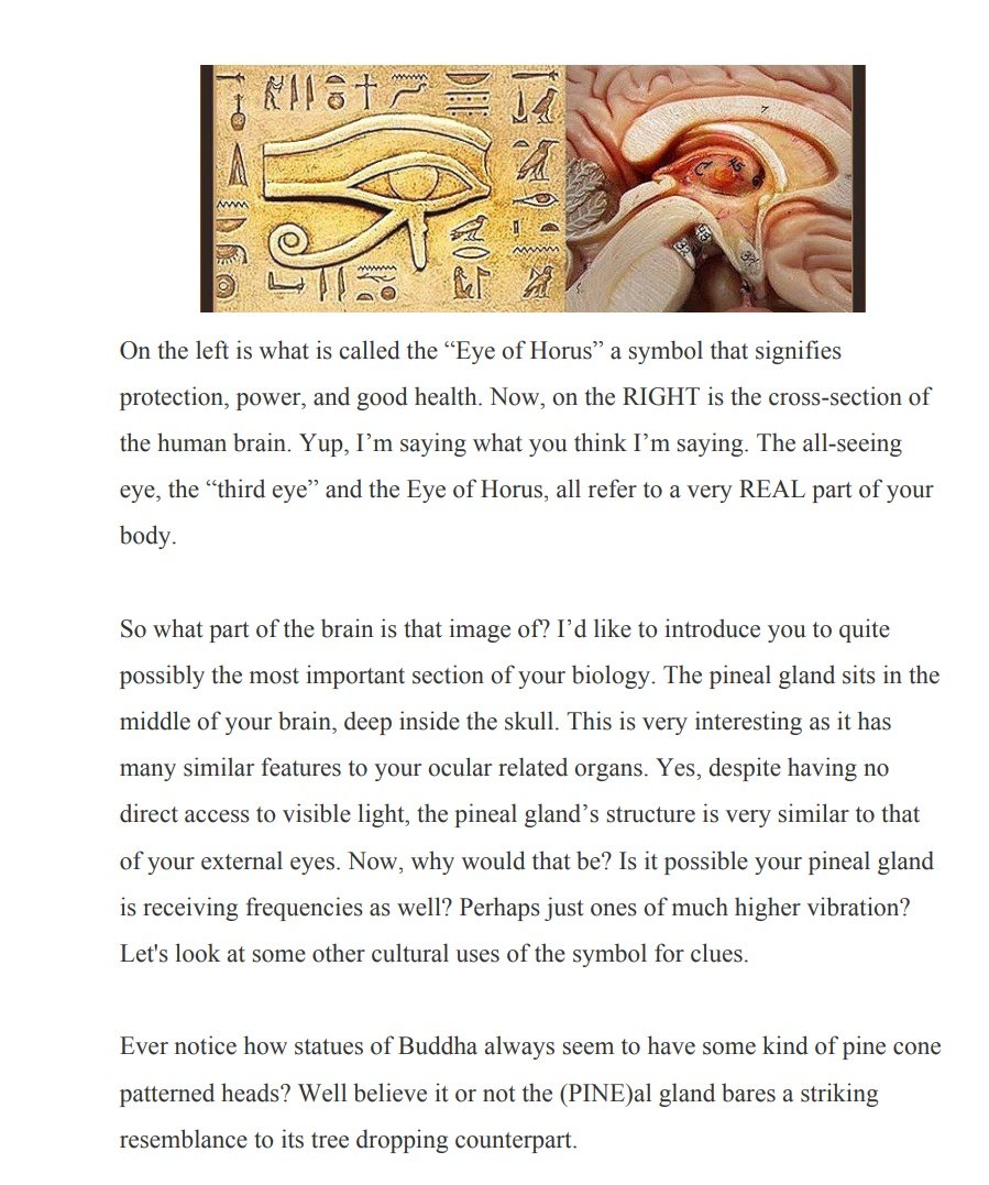 To be honest, this is my favorite book by far, and was truly the cherry om top that tied so much of my research together.Not only does Dr. Joe explain the human energy system and specific meditations to harness it, he covers how the ancients talked about it as well thru symbols