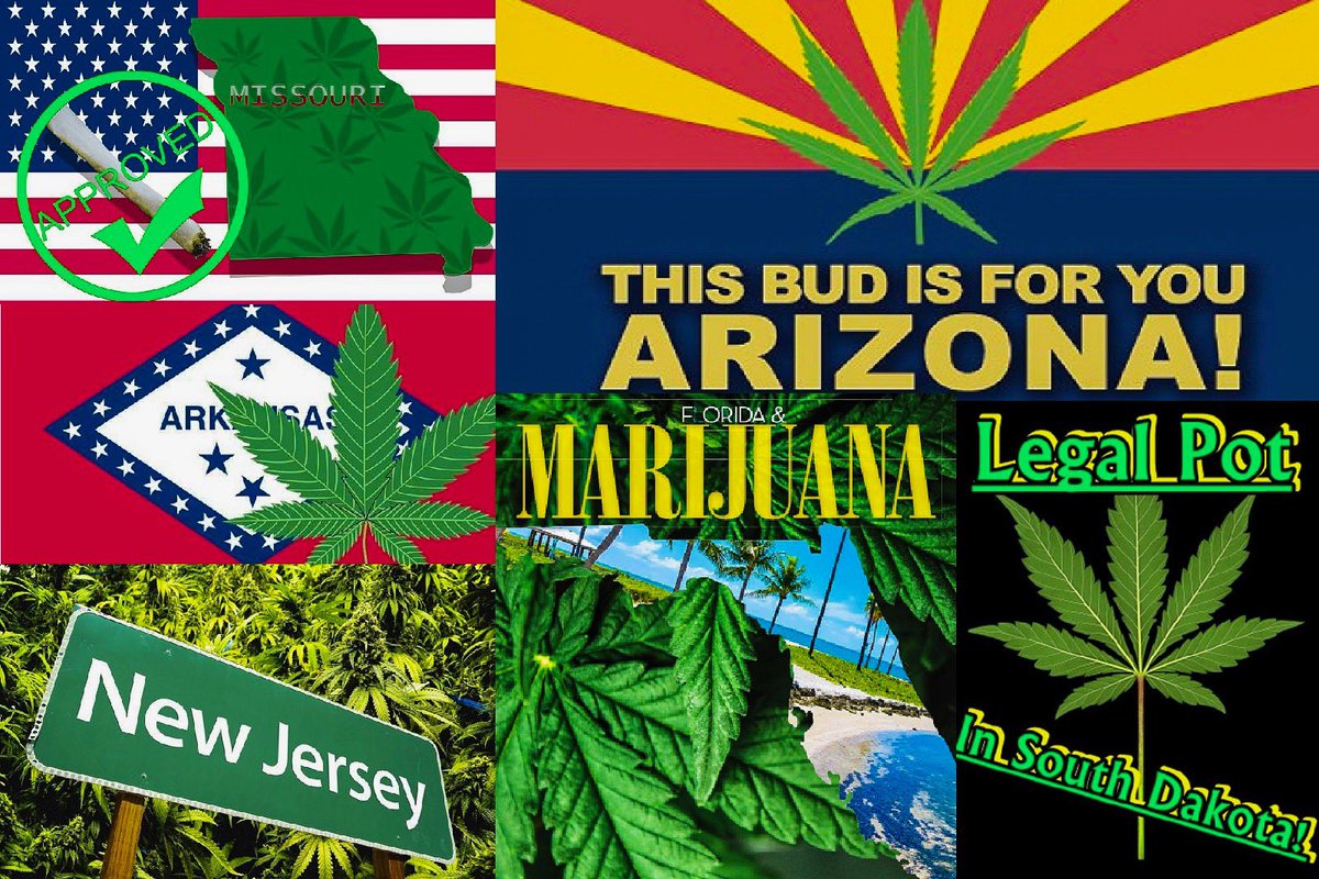 EcossiInc's tweet photo. 6 States Trying to Legalize Recreational Marijuana in 2020. Will your state be “going green” next year? #useherbo #medicalmarijuana #medicalcannabis #marijuana #cannabis #cannabiscommunity #missouri #florida #arkansas #newjersey #arizona #southdakota #marijuanasoftware https://t.co/P5amPZlsFc