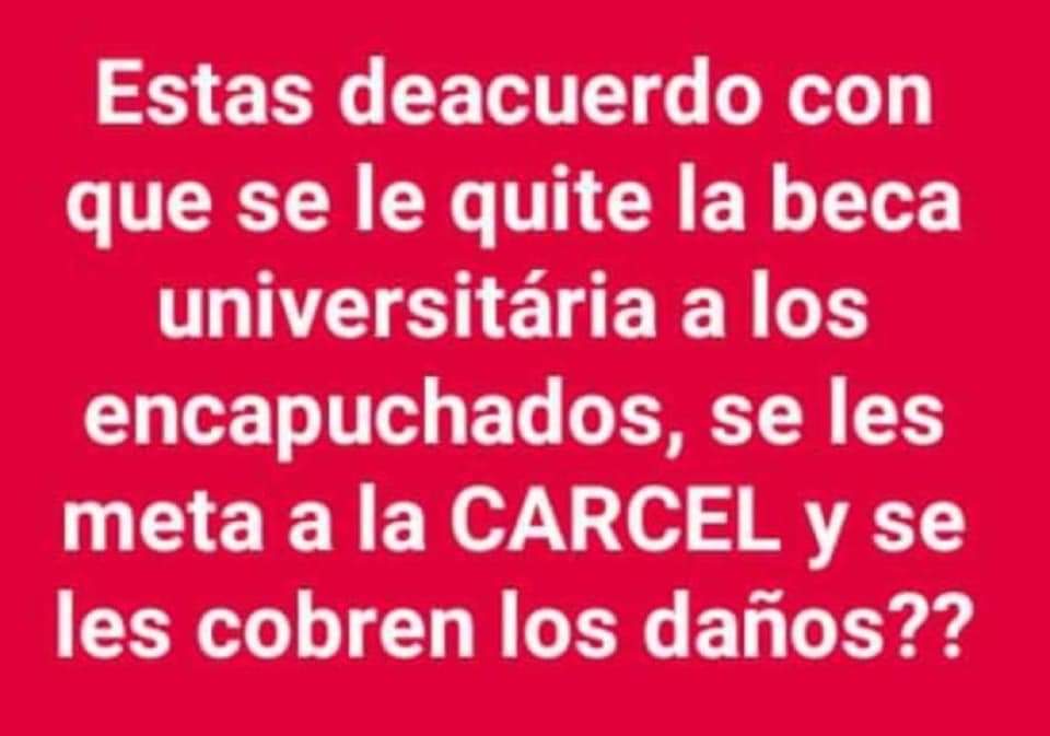 Claudia Ardila (@ardila303) on Twitter photo 