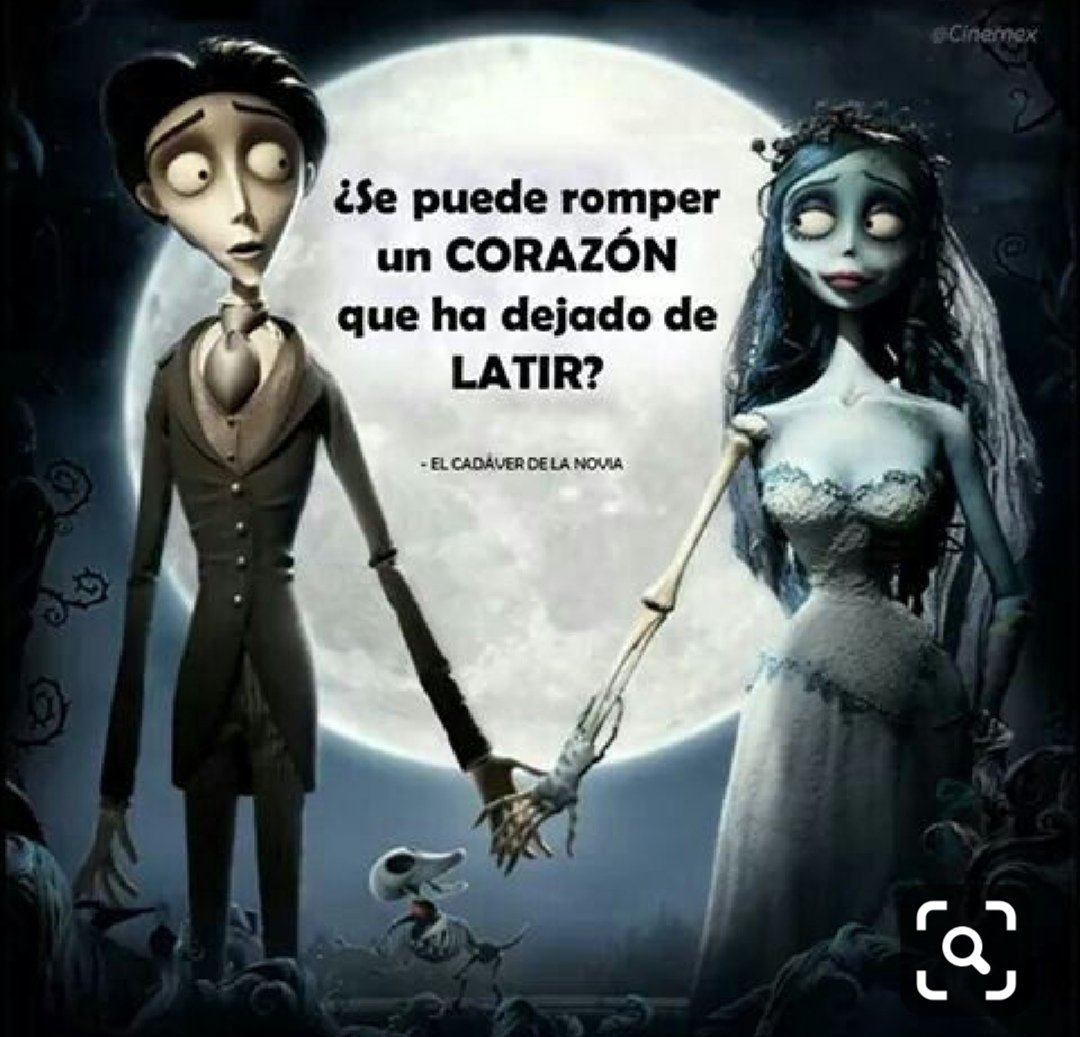 EdithLpezF1's tweet photo. Yes ......
It can break a heart that has stopped beating https://t.co/lJZmTLpON8