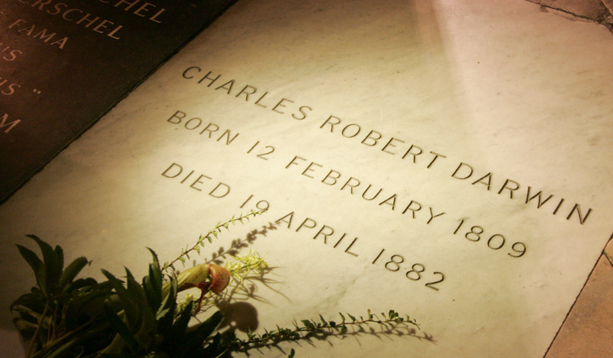 Westminster Abbey on Twitter "This is Charles Darwin