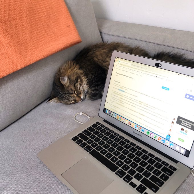 FlatironSchool's tweet image. Learning Routing & Nested Resources with Parker and @notfocaccia 😻 #caturday #changethings #learnlovecode