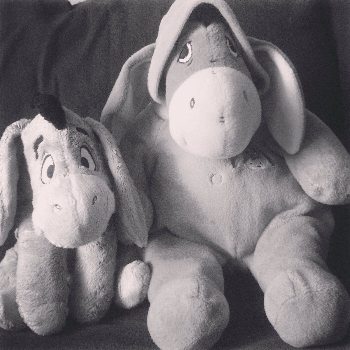 Elsies am Start 🎀🎀