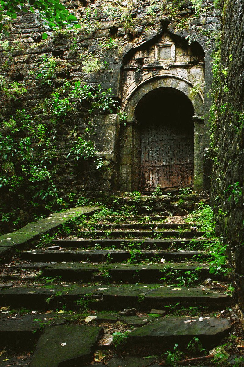 Mecenelestrange's tweet photo. My #SaturdayThoughts are dark and romantic. If you want to explore a world of elegant mystery where nothing is quite as it seems, visit https://t.co/Ad6hWj01xC https://t.co/2GKUrNDStb