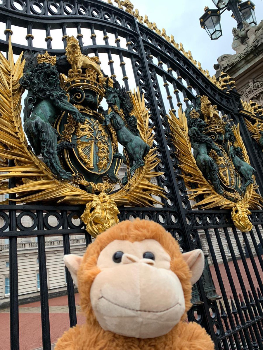 LeadersDerby's tweet photo. 🐵MONTY UPDATE🐵

Montys been to visit the Queen with our Kings Norton branch!! Needless to say he was on his best behaviour  #wheresmonty #bringMontyhome 👑 https://t.co/4mz110AXPU