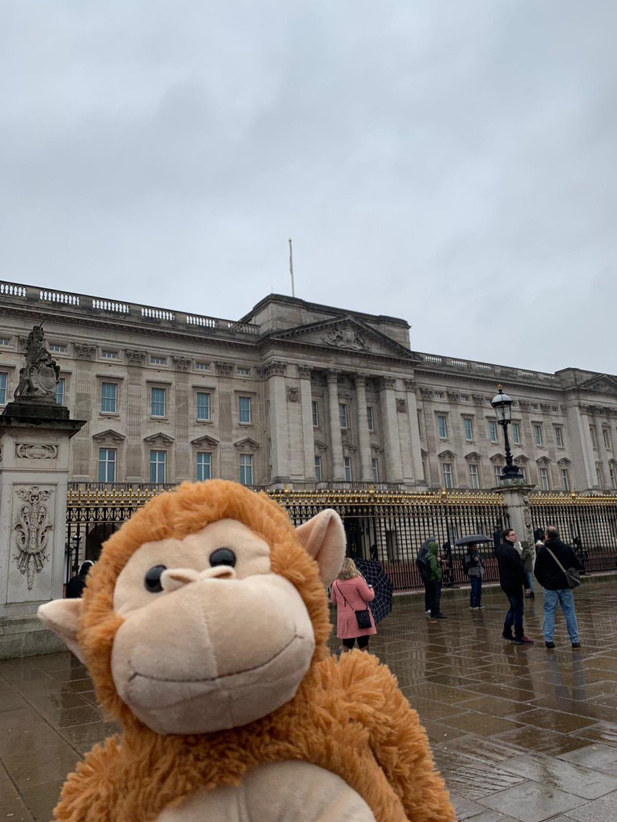 LeadersDerby's tweet photo. 🐵MONTY UPDATE🐵

Montys been to visit the Queen with our Kings Norton branch!! Needless to say he was on his best behaviour  #wheresmonty #bringMontyhome 👑 https://t.co/4mz110AXPU