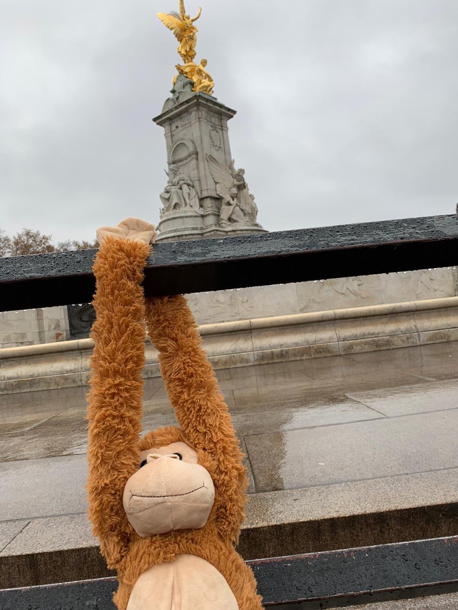 LeadersDerby's tweet photo. 🐵MONTY UPDATE🐵

Montys been to visit the Queen with our Kings Norton branch!! Needless to say he was on his best behaviour  #wheresmonty #bringMontyhome 👑 https://t.co/4mz110AXPU