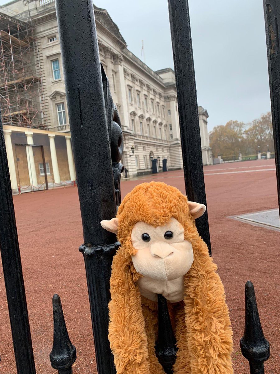 🐵MONTY UPDATE🐵

Montys been to visit the Queen with our Kings Norton branch!! Needless to say he was on his best behaviour  #wheresmonty #bringMontyhome 👑
