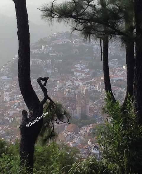 DomGonSer's tweet photo. #FelizFinDeSemana
T
A
X
C
O
#Taxco
#Guerrero
#México
#PuebloMágico
#fotografía
#FotoFavorita
#FelizSábado
#FelizFinde
#MéxicoEnImagen
#MéxicoLindoYQuerido
#Acapulco
#Cuernacaca
#Puebla
#Pachuca
#Veracruz
#Querétaro
#Toluca
#CDMX https://t.co/IT8cO31p0t