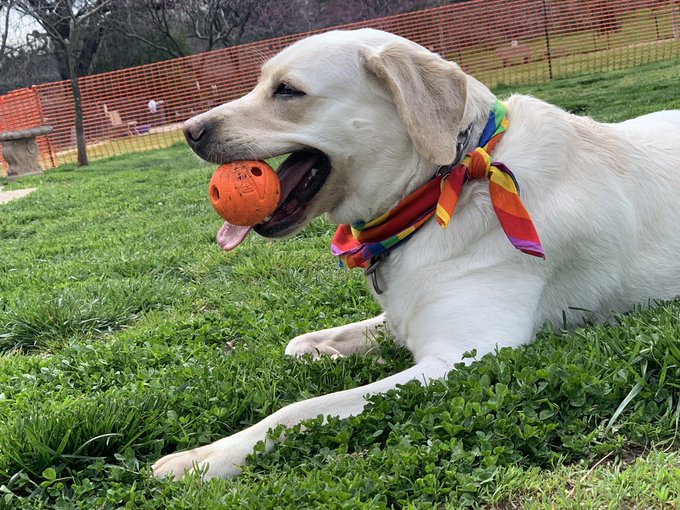 Woke up and waiting for shelters to open. Will be putting up flyers today, if you&rsquo;re in Vegas with nothing<a href="/tag/mvsales"class="tags"><span>#mvsales</span></a>