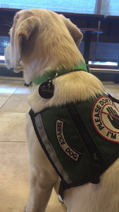 Woke up and waiting for shelters to open. Will be putting up flyers today, if you&rsquo;re in Vegas with nothing<a href="/tag/mvsales"class="tags"><span>#mvsales</span></a>