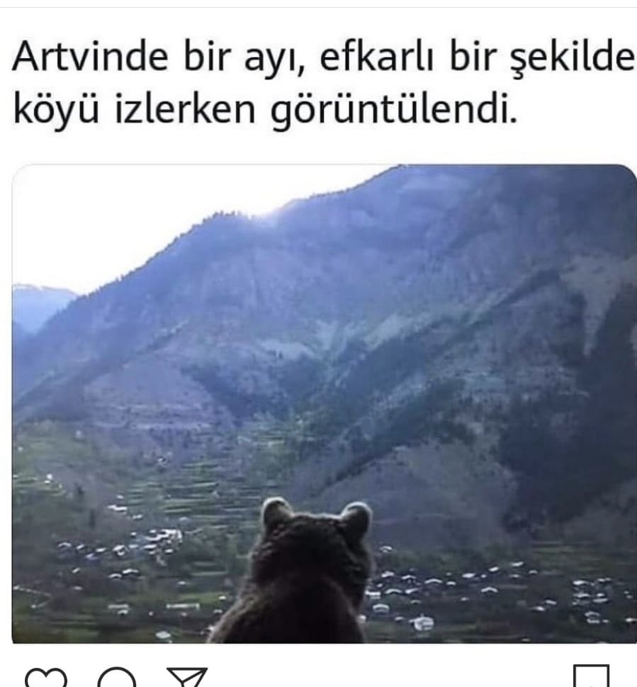 flzztrk_'s tweet photo. Belki de insanların Artvin’de ne bulduklarını düşünüyordur 😂 @hilal08ozturk https://t.co/haN0ZuYMiE