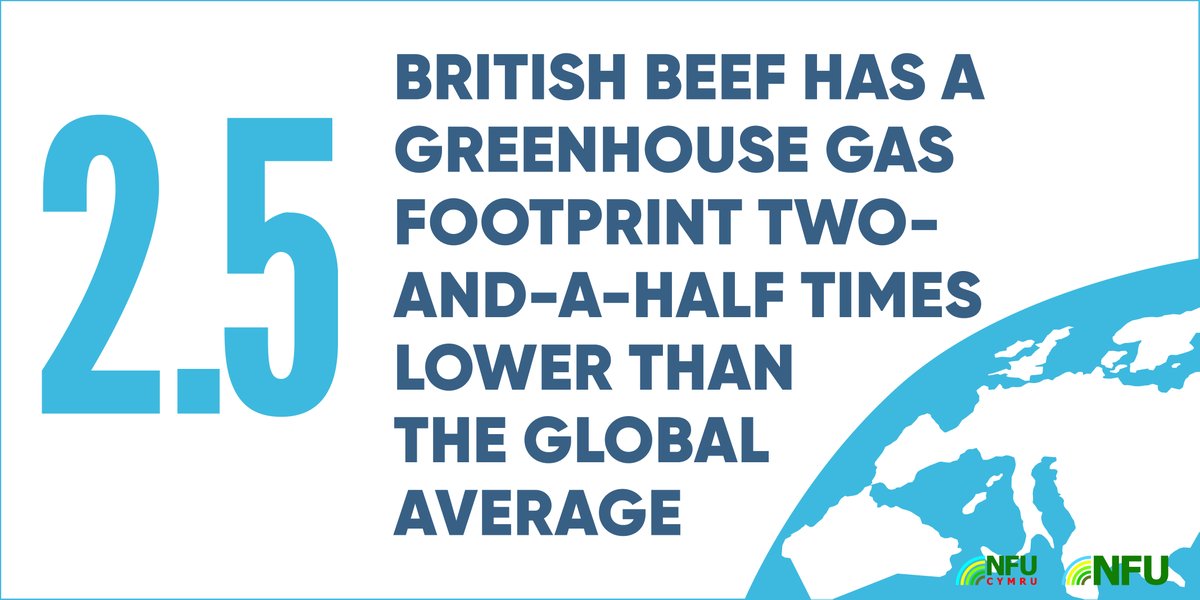 NFUtweets's tweet image. British livestock farmers have worked hard to reduce their environmental footprint. In fact, beef production in the UK is one of the most efficient in the world! For the facts on the British livestock industry visit our information hub ow.ly/VqEr30pUx1r #FactOverFicton