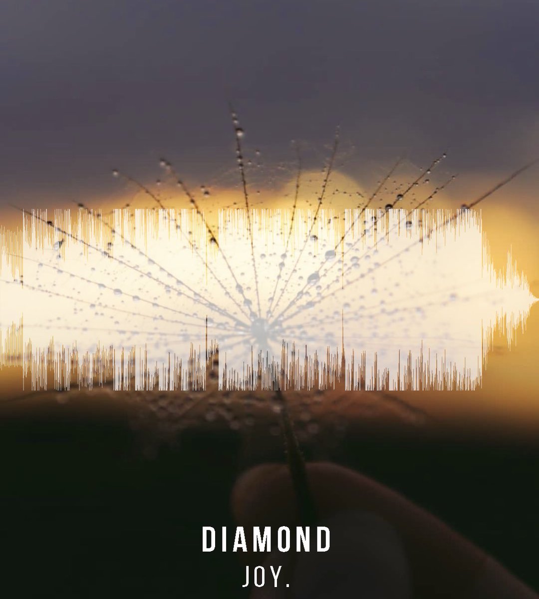 ◇ Diamond ◇
<a href="/joymusic/">JOY.</a>
-
ig visual: _jmk.photos_
-
bit.ly/waevlength1