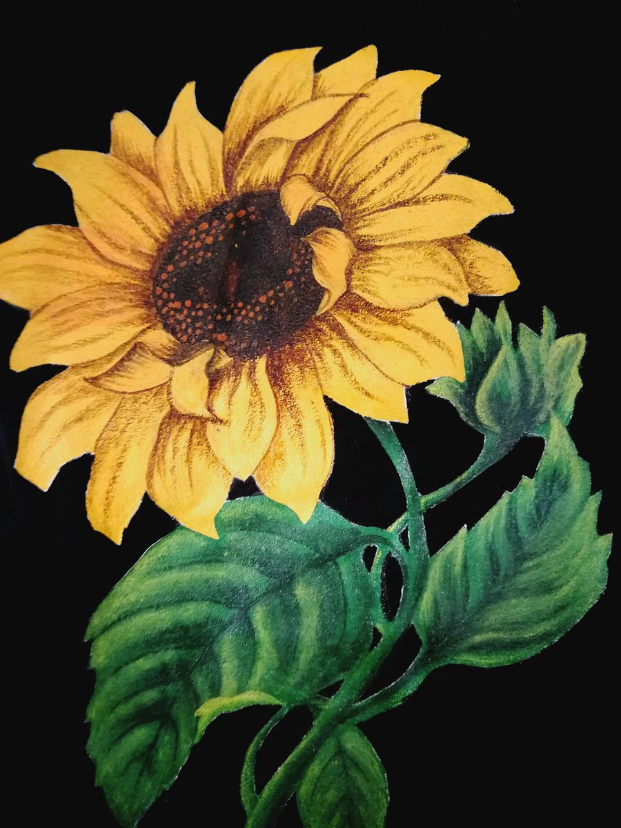BySunee's tweet photo. Get your T-shirts / Shirts / dresses PAINTED with a design of your choice. It's as simple as that now. https://t.co/11lDK6Vddk