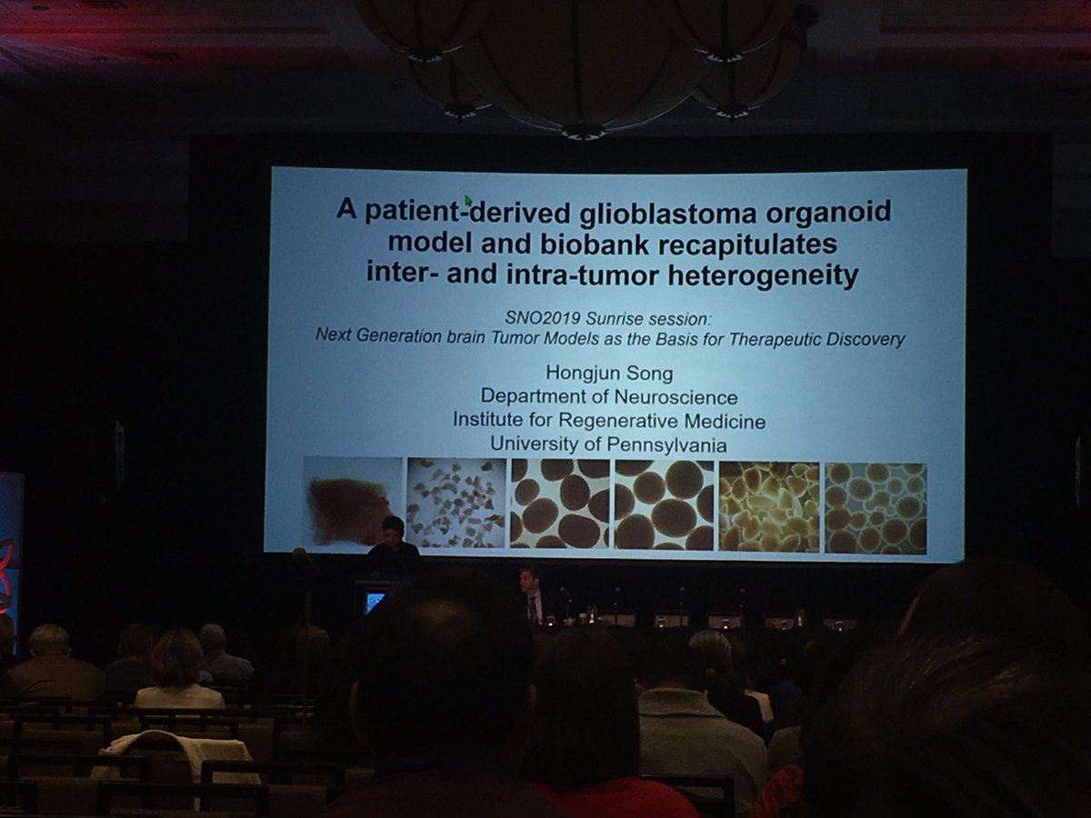 Daniel Zhang (@danzhang122) on Twitter photo So inspiring to see the boss <a href="/UPenn_SongMing/">Song and Ming Labs</a> bring this big collaborative project together!! New models of #GBM will help us learn more about this devastating disease and develop better treatments! #SNO2019 So inspiring to see the boss <a href="/UPenn_SongMing/">Song and Ming Labs</a> bring this big collaborative project together!! New models of #GBM will help us learn more about this devastating disease and develop better treatments! #SNO2019