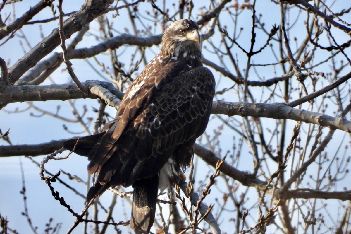 clevemetroparks tweet picture