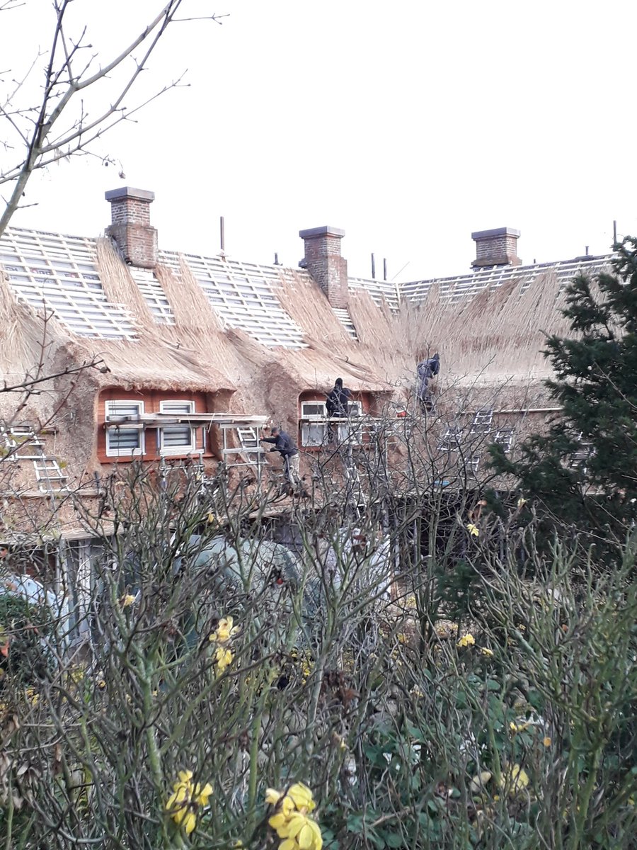 Reetdach Hashtag On Twitter