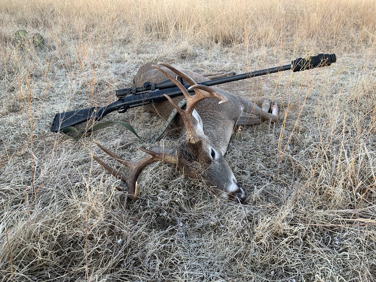 ChrisWi81298891's tweet photo. Thanks to @NoslerInc @christensenarms @LeupoldOptics and @silencerco for my personal best buck. @RandallKingBand in my headphones was damn nice, too. #fairchase #deadrightthere #killitandgrillit #texas #myearsdontring https://t.co/1VARRPLnZh