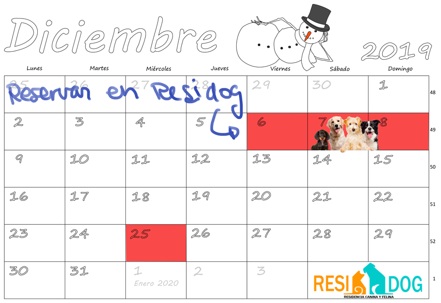 No te quedes sin plaza en #Residog este puente que ya nos queda cada vez más cerca, servicio #adiestramiento para corregir conducta. <a href="/Residogcan/">Residog</a> tu residencia Valencia residogvalencia.es #residenciacanina #hotelcanino #residenciacanina #guarderiacanina #adiestramientocanino