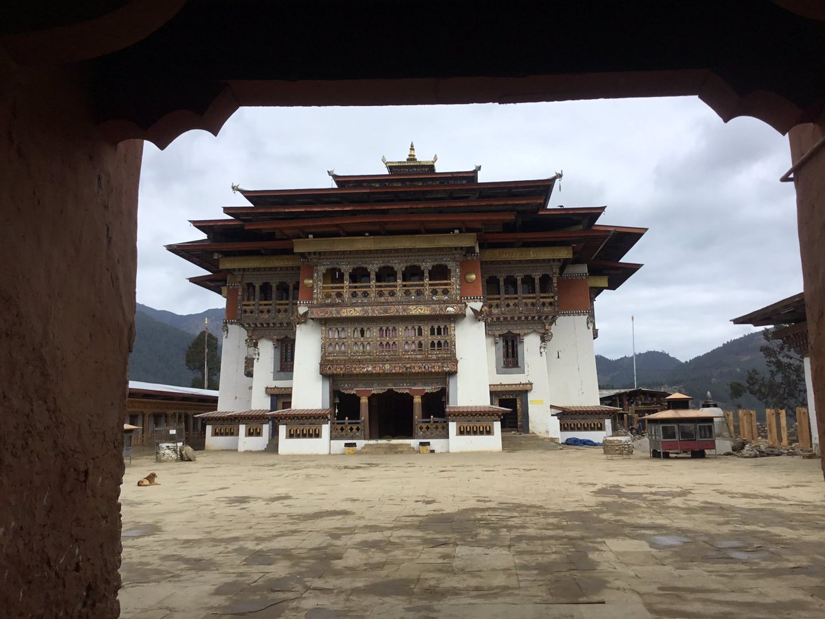 Ksehmi5's tweet photo. #Bhutan’s #Lama monks in the #GangtengMonastery in the #PhobjikhaValley may hold the #BigData on #climatechange. The migratory #BlackNeckedCrane arrivals from #Tibet are later than the festival dates set in 1600s &amp; flowers bloom before the flower festival dates @audubonsociety https://t.co/Vdsjgs1yGk