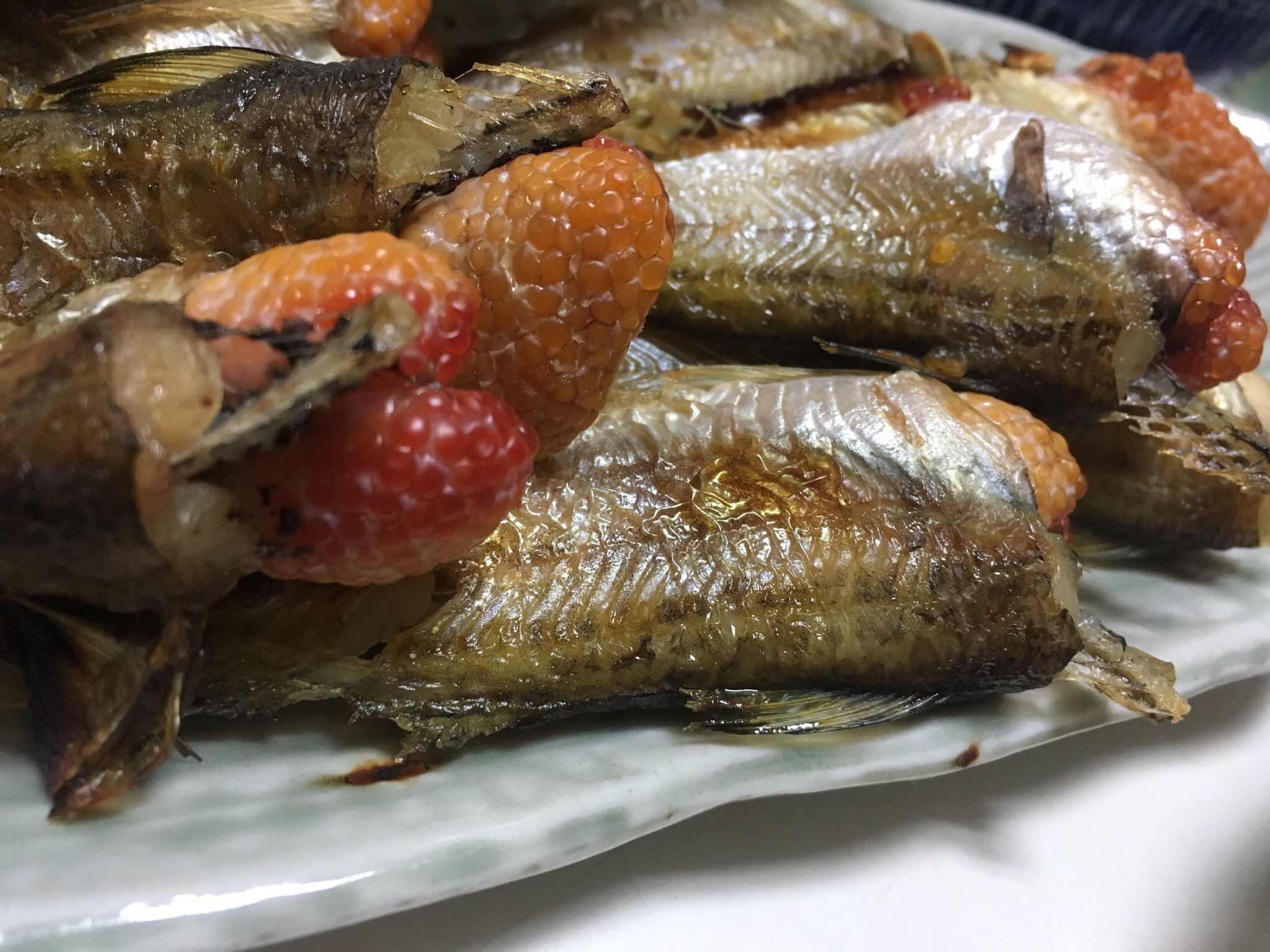 Uzivatel 干物鮮魚販売 新鮮星魚カラカラ 秋田県 Na Twitteru 綺麗なぶりこ さながら海のルビー 旬のハタハタ焼き 美味です 鰰 ハタハタ 八森はたはた ぶりこ T Co 5bp0m6jzqi Twitter Uzivatel 干物鮮魚販売 新鮮星魚カラカラ 秋田県 Na Twitteru 綺麗なぶりこ さながら海のルビー 旬のハタハタ焼き 美味です 鰰 ハタハタ 八森はたはた ぶりこ T Co 5bp0m6jzqi Twitter