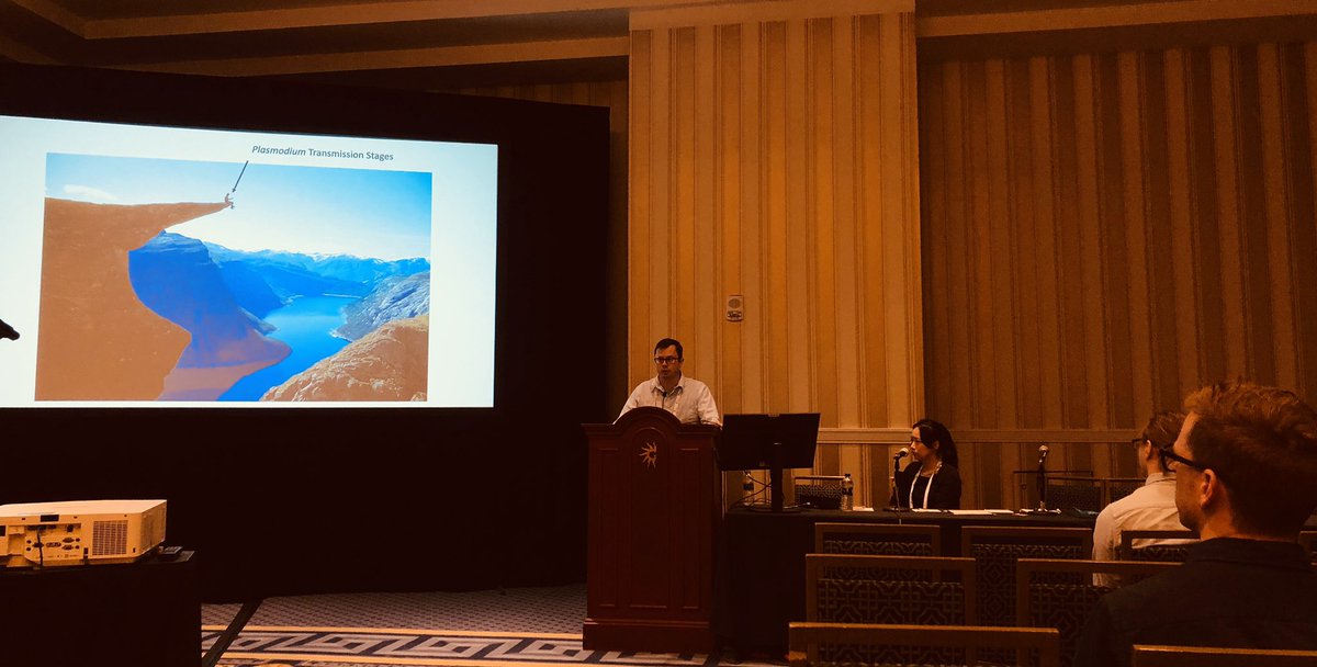 TrendsParasitol's tweet photo. Great protozoan section @ASTMH with new findings in Cryptosporidium @striepenlab @SaterialeLab Babesia @CarolineKeroack @ManojDuraisingh Toxoplasma @BenManOfWald @LouridoLab & Plasmodium @LindnerLab @DrBoddey @gamainbenoit #TropMed19 #IamTropMed #ASTMHinclusion https://t.co/3o61u1UEjP