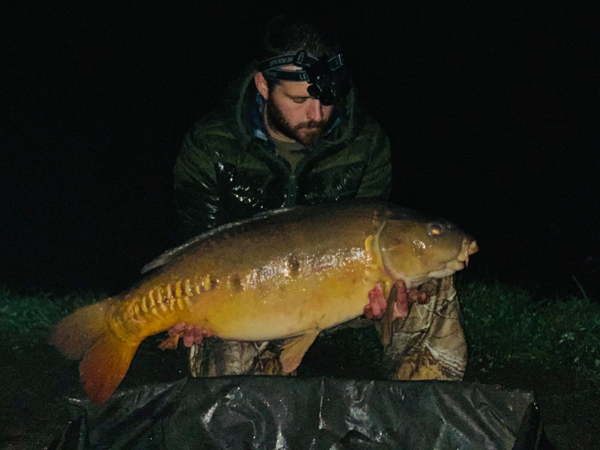 Cpowellcarpmad's tweet photo. The best of an 8 fish haul on a cold park lake sesh. A fish known as "WINNIE" going just over 30lb 

#Thewelshcarpangler
#munchbaits
#banktackle
#fishinguk
#jobdone 
#carpglobal https://t.co/QhcoSQQ2A1