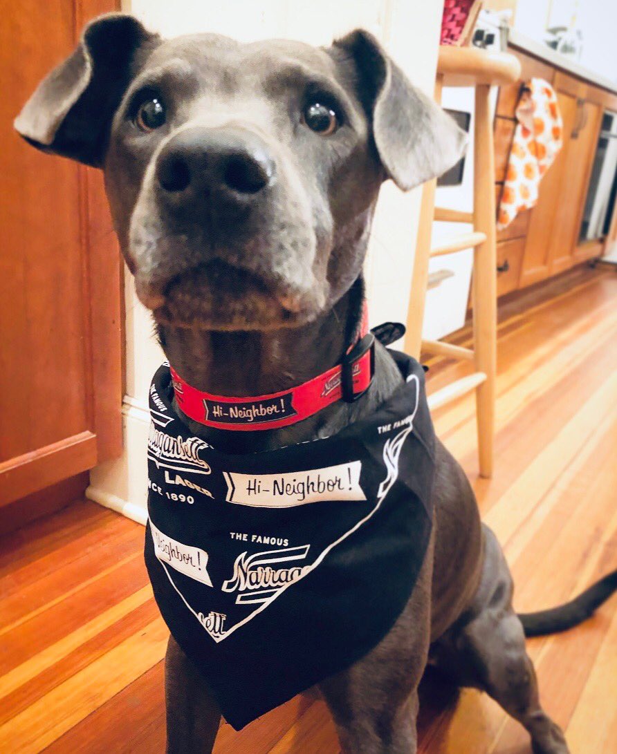 Somebody is ready for the Made on Honor Market. Today and tomorrow 12-6pm <a href="/WaterFireProv/">WaterFire Providence</a> 475 Valley St. Providence, RI #mohmarket