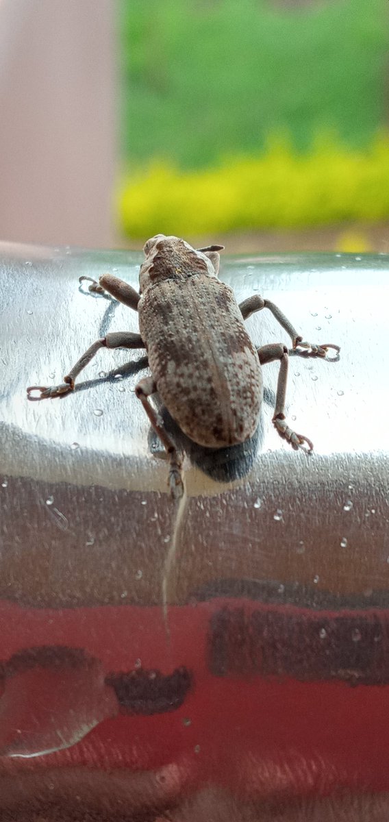 Symoh_Muiruri's tweet photo. #DSCMeru
During  breaktime and i found a 'bug' https://t.co/EH0O55MZ3y