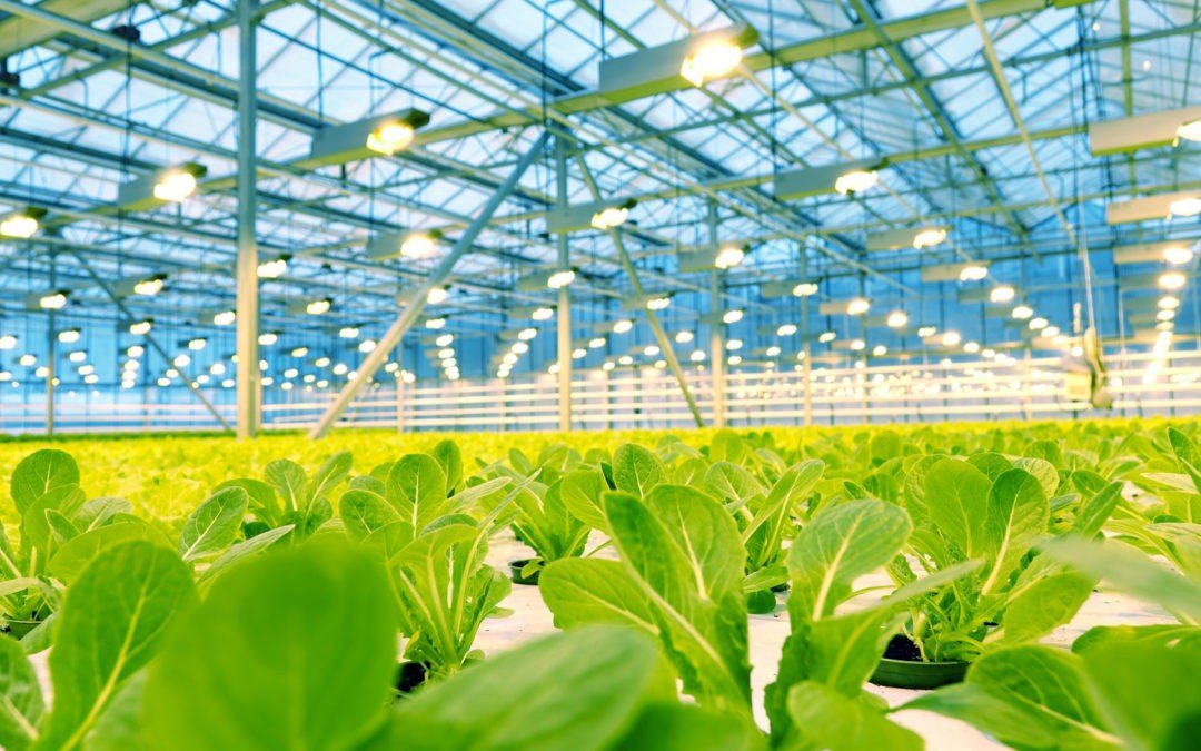 We have Two Food Systems, Time for a Third