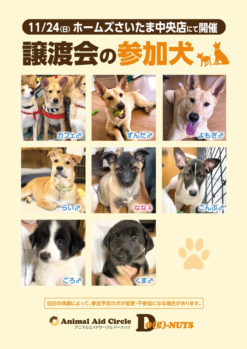 犬 埼玉 保護