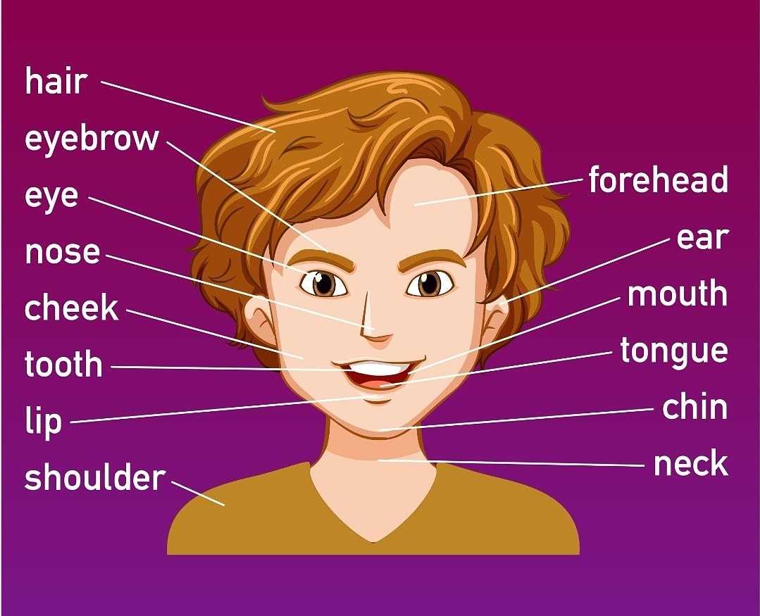 Красивый человек на английском. Части лица на английском. Части тела на английском. Части тела и лица на английском для детей. Части лица на английском для детей.
