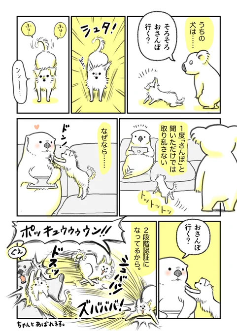 本日の1枚!おさんぽ行く?と聞かれたいぬを描きました。#コルクラボマンガ専科 #弓木らん毎日1Pマンガ#犬好きな人と繋がりたい  #morkie 