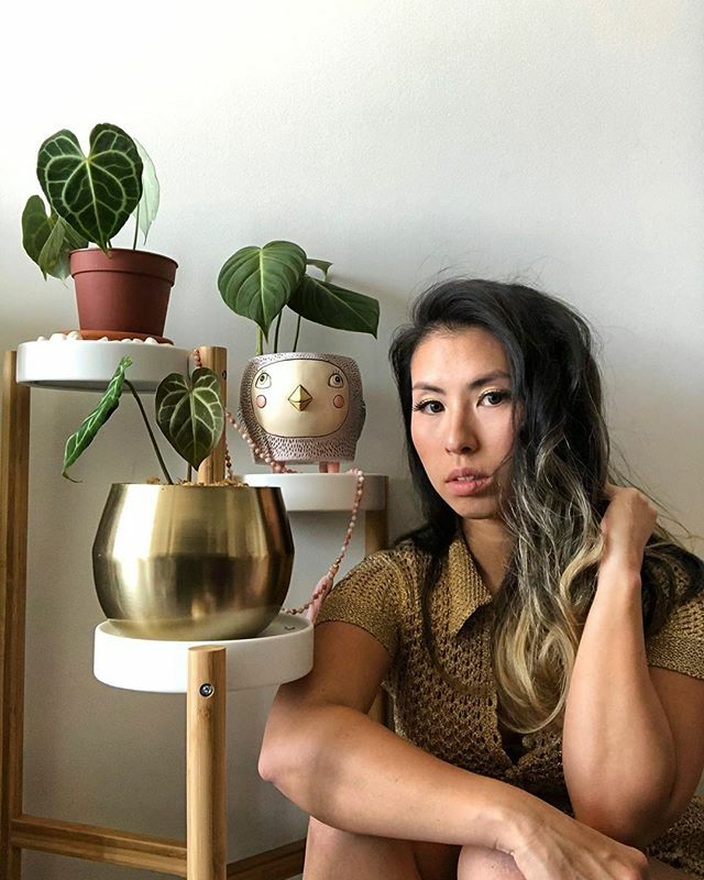 monsterthreadsA's tweet image. Fantastic shot from @mindbodymiko! Thank you so much for sharing. We always love seeing Monsterthreads gear in your spaces. Please share them so we can see! #monsterthreads ift.tt/2OHhX5F