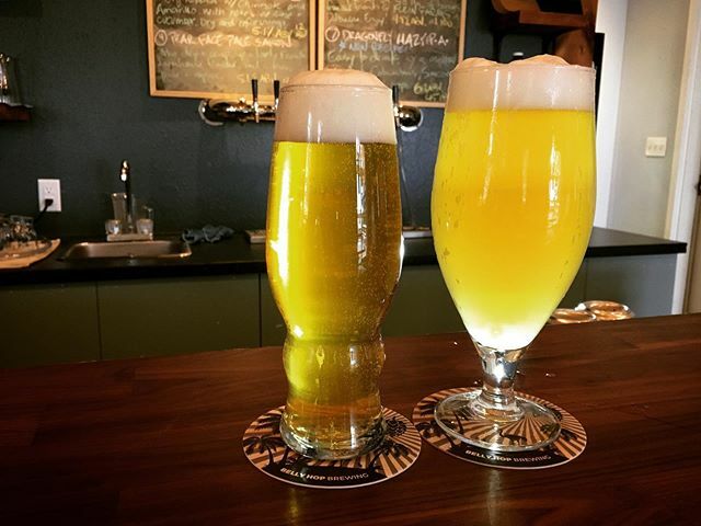 NEW BEER weekend!  On the right, CABO D.H. Saison #3 with Chinook and Amarillo hops, and on the left, Ryes Beyond Collab Kveik IPA, the result of a fun Sunday morning with our friends @undercurrentbrewing <a href="/redshedmalting/">Red Shed Malting</a> @redhartbrewing @craftbeernation_… ift.tt/2rhKSW6