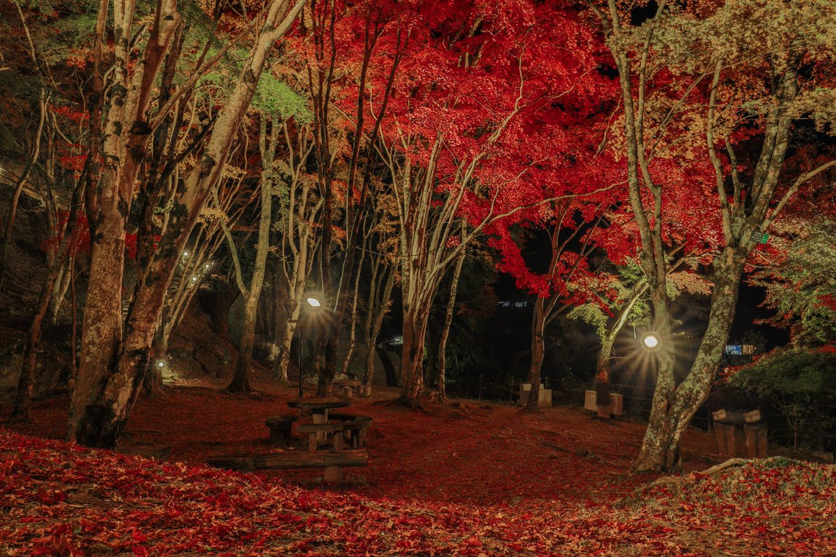 笠置山自然公園