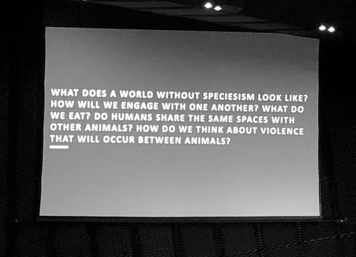 bil_ania's tweet photo. How to design design in non-speciesism spitit? It matters what designs design designs speculations on multispecies worlds☝️thanks Michelle Westerlaken 🙌 &amp; #BoldareTeam 

#WUDSilesia2019 #TuiTeraz https://t.co/NtfMwQUwFW
