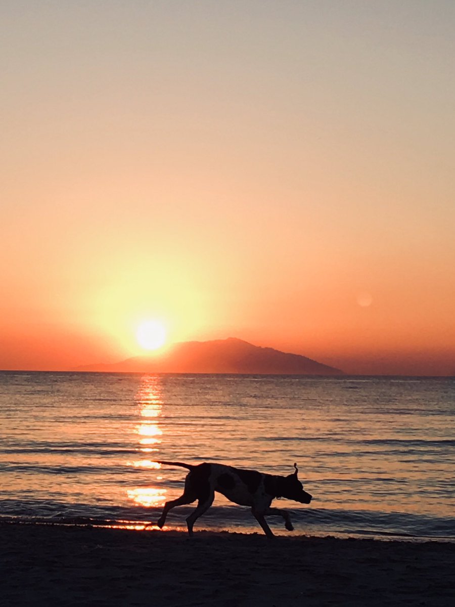 TrenchTrotter's tweet photo. Ice and fire. Ohh and a dog too. https://t.co/9IlRpwPxTU