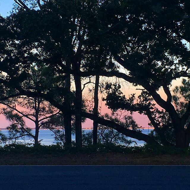 madsjchic's tweet photo. The view at the end of my road https://t.co/XrZz2NHxIN https://t.co/5Qh17487CD