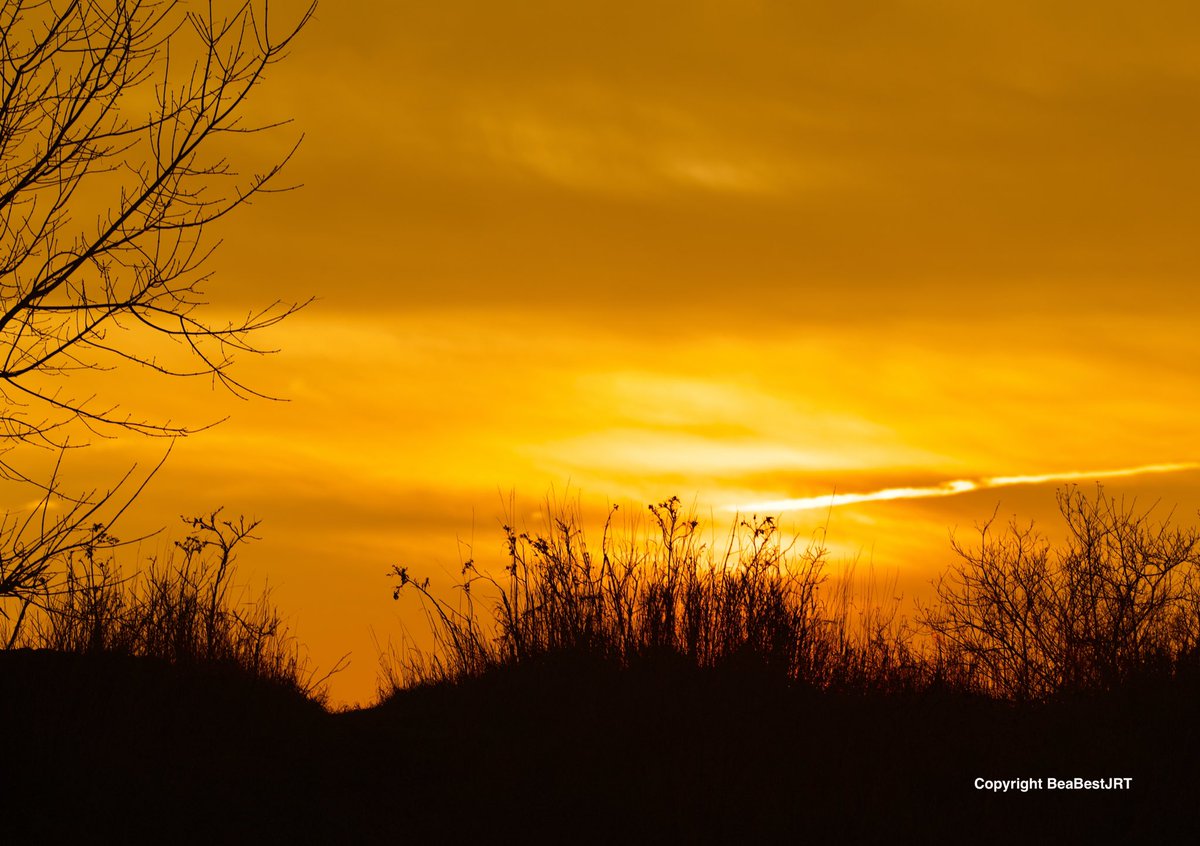 Sunrise, sunrise
Looks like morning in your eyes

#photography #sunrise #sky #Fall2019 #ThePhotoHour