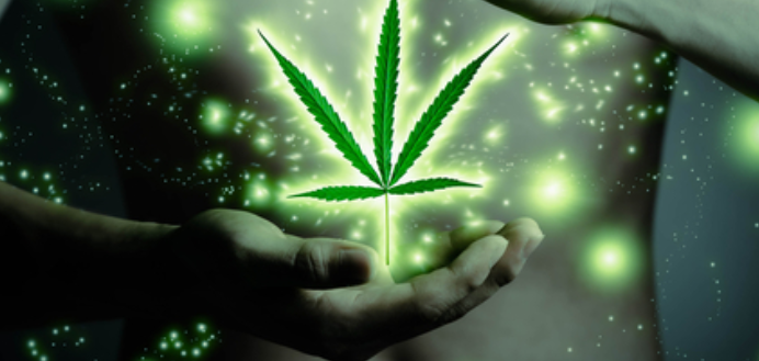 HerbalHealingCO's tweet photo. It's that time of year...holiday cooking!!! Here's some recipes for the marijuana lover:
https://t.co/gJ7FPHPQMT
#marijuanarecipe #marijuanarecipes #marijuana #cannabis #recipes #salads https://t.co/L1cA5x86a3